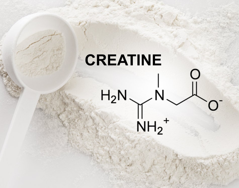 Count-creatine-in--5-reasons-to-why-women-should-consider-this-effective-supplement